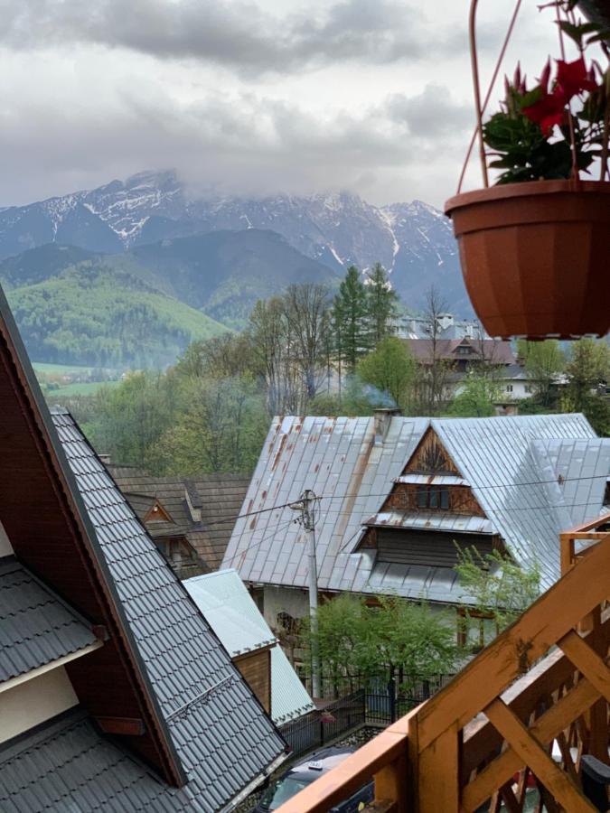 Przystanek Gubalowka -Guest House Zakopane Esterno foto
